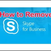 skypebiz